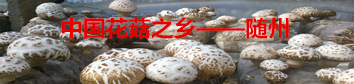 �ИI֪�R